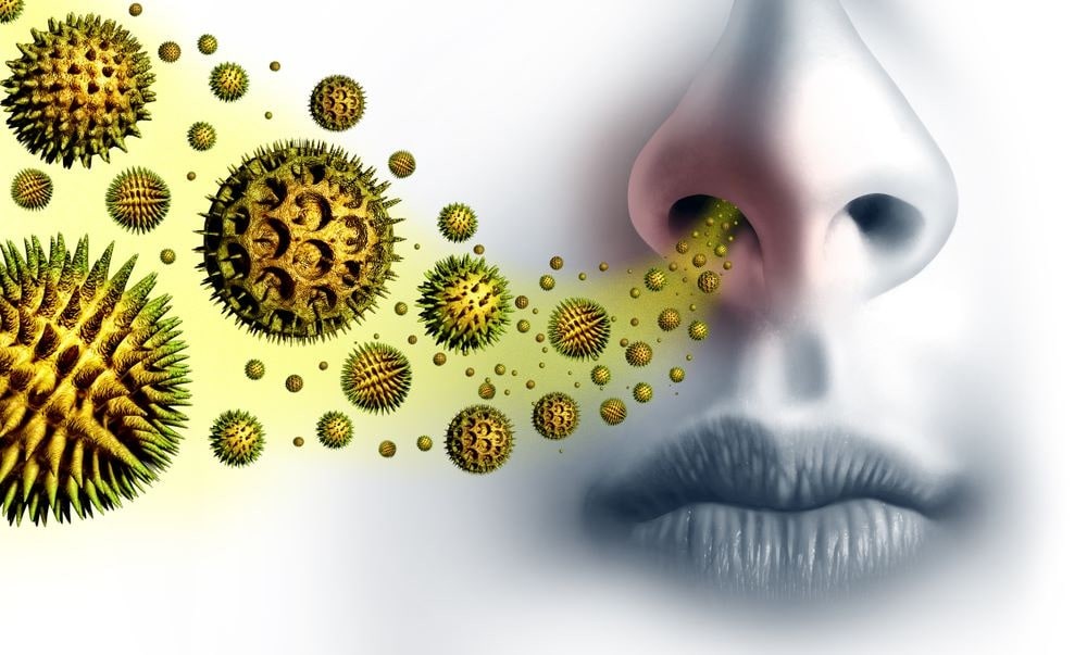 Ambuteiaj Retras Trebuie sa  Alergie la polen: ce este, simptome, cat dureaza, tratament - Revista  Medicinas