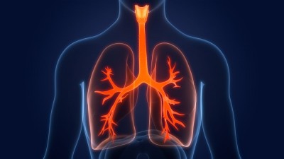 Pneumonie alveolara