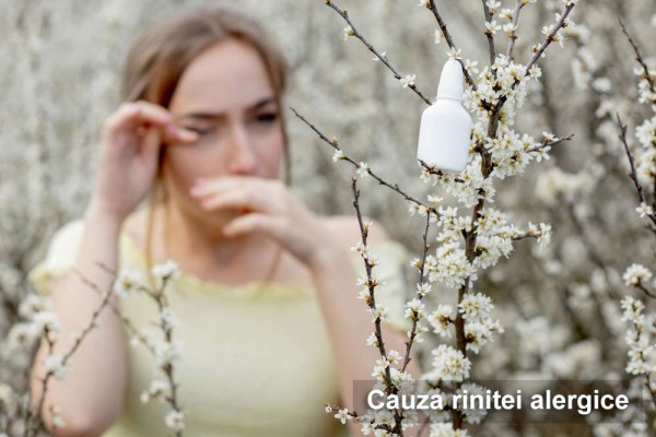 cauza rinitei alergice